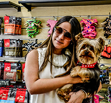 Pet Day Care Available in Miami, Florida